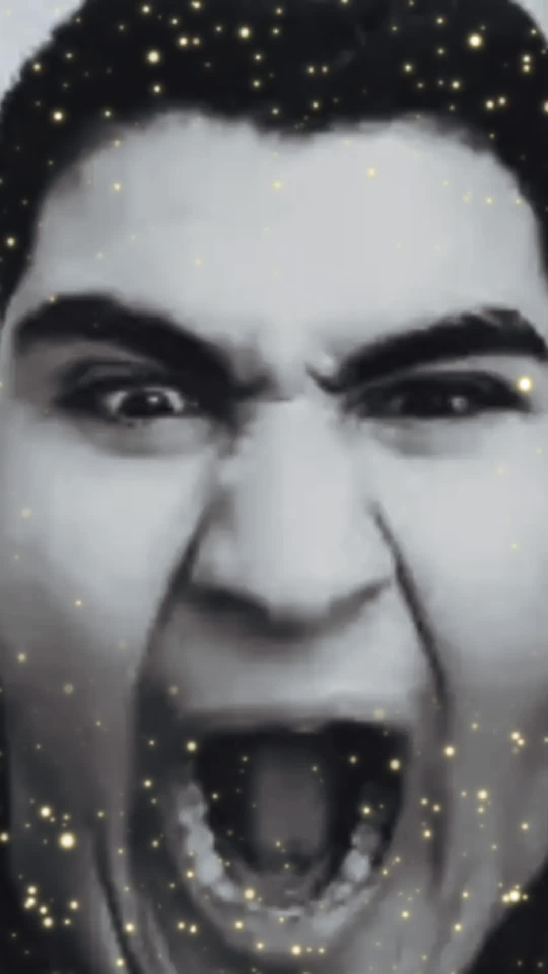 @Shitpostcu_fordtransit