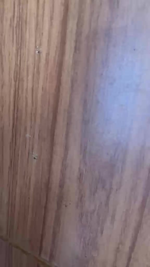@MARIA J&Uacute;LIA OFICIAL🙏🧬💜