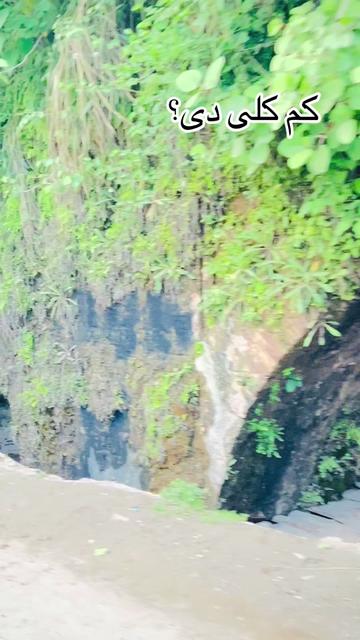 @🤦🏻&zwj;♂️🇸🇦ستری ژوند🇵🇰