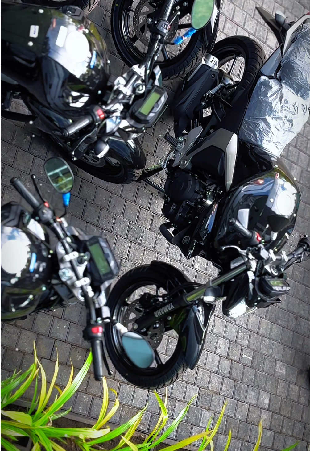 @Ashen Yamaha 🇱🇰