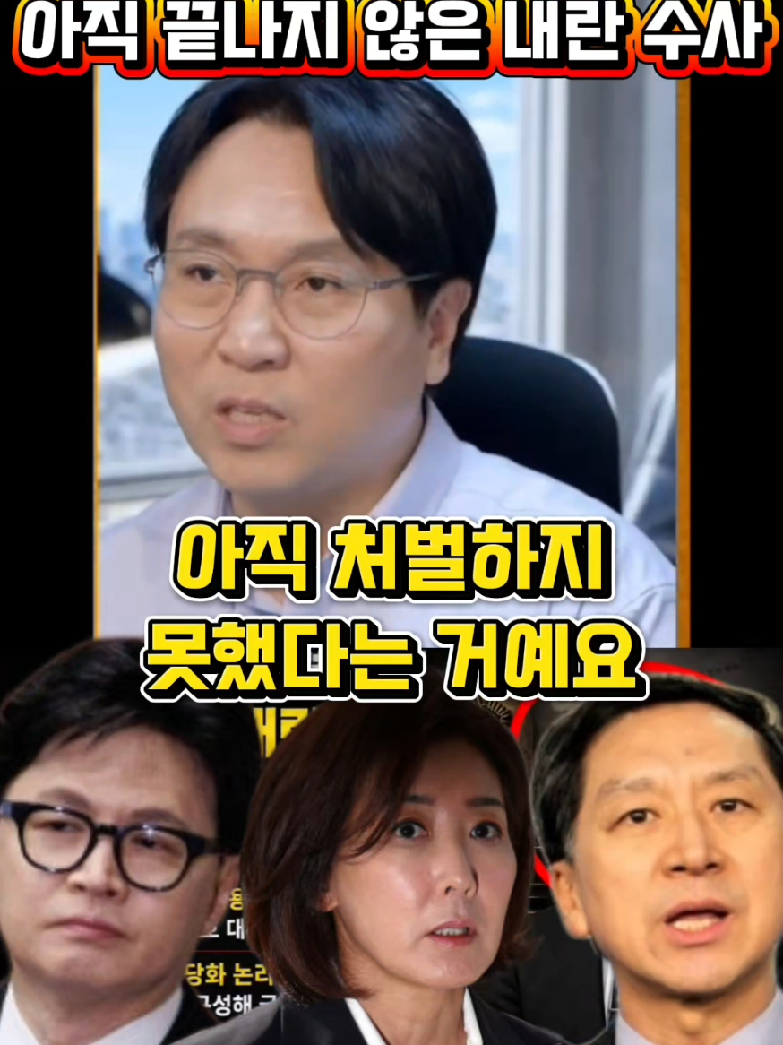 @정치냥인