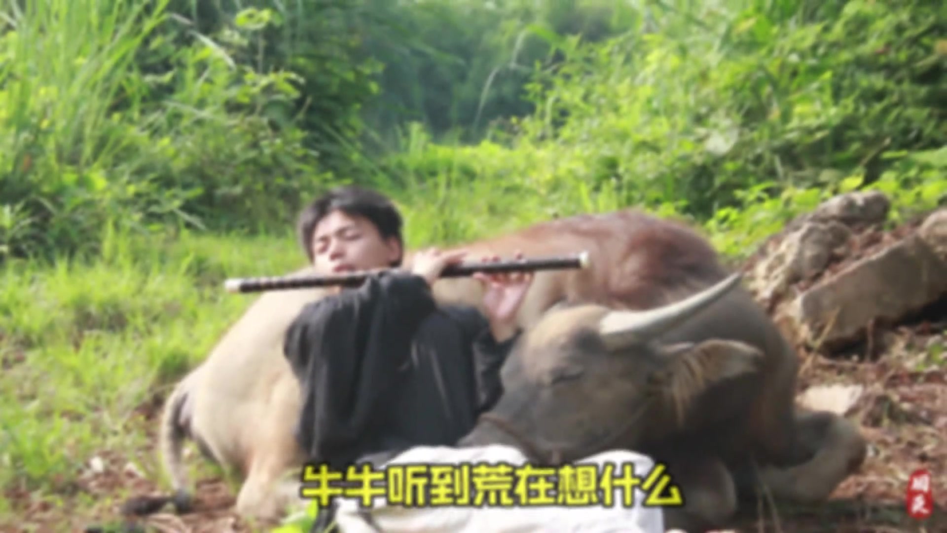 @🎋爱竹笛 Đam Mê Sáo Trúc 🪈