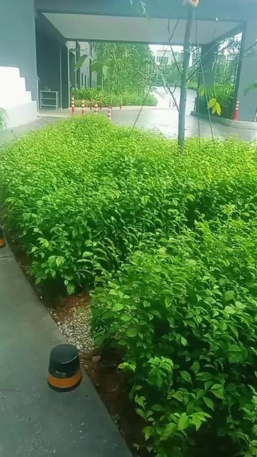 @@Md Siam 9040 TikTok Studios