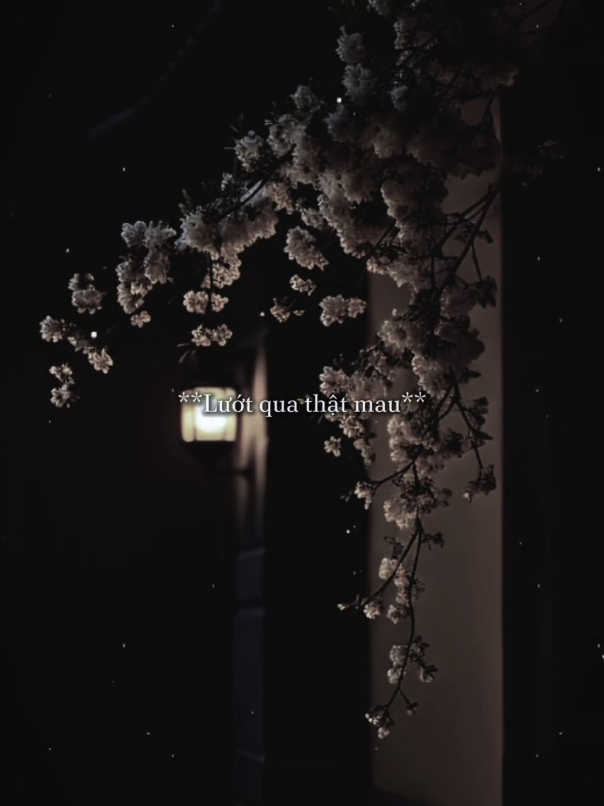 @𝐓𝐫ạ𝐦𝐌𝐮𝐬𝐢𝐜🎧