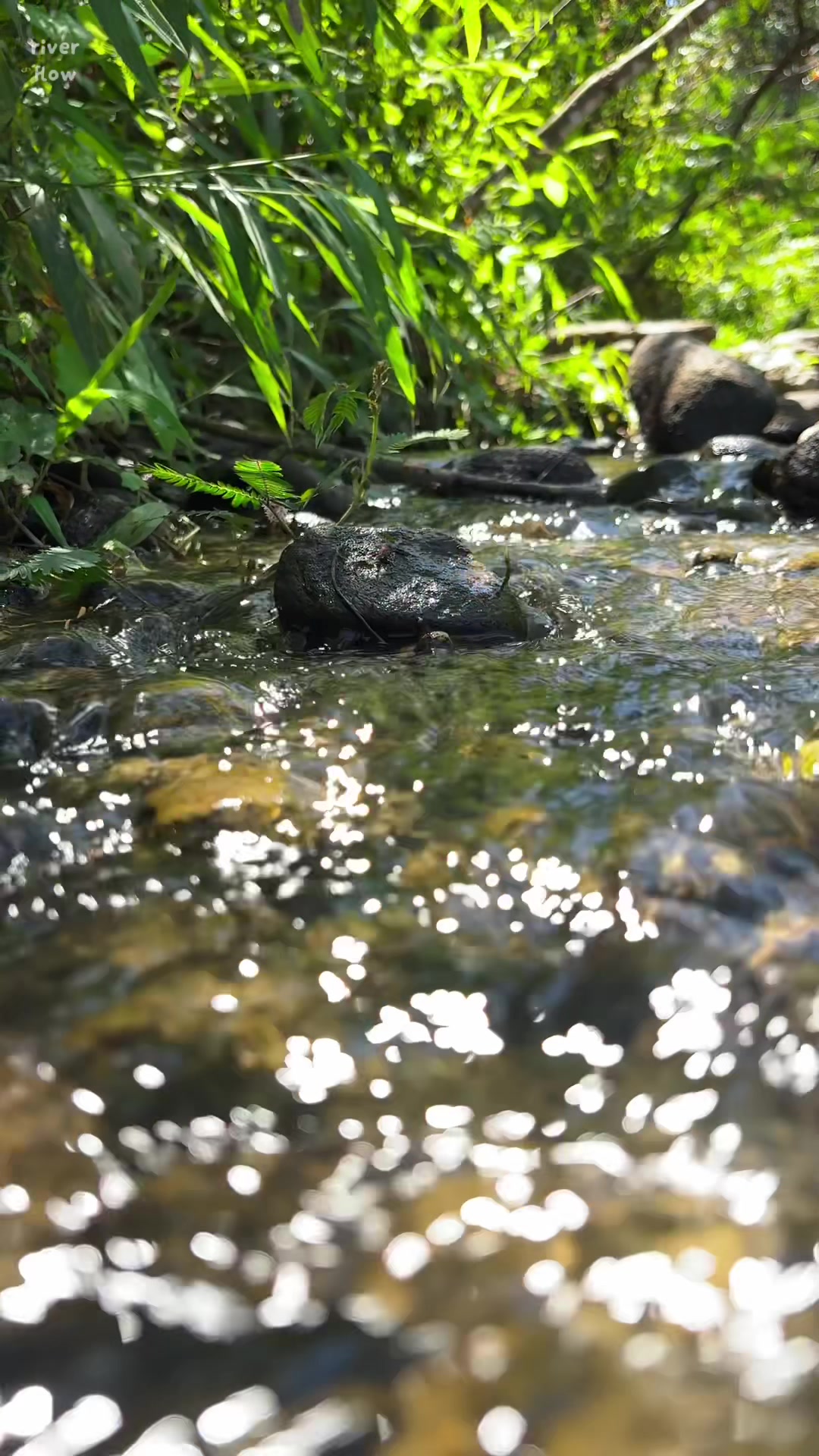 @River Flow