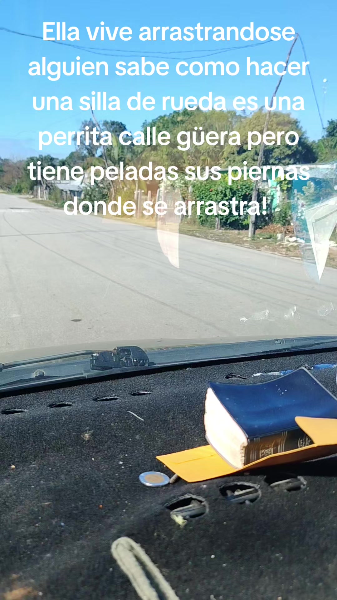 @Alessandro Moccia