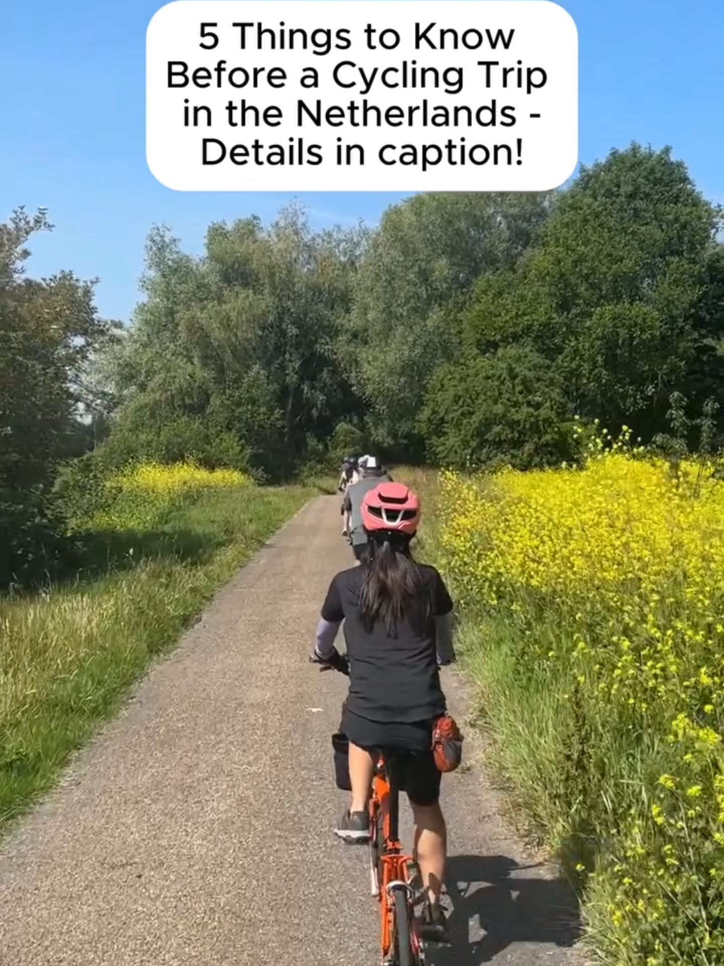 @bromptonexperiences