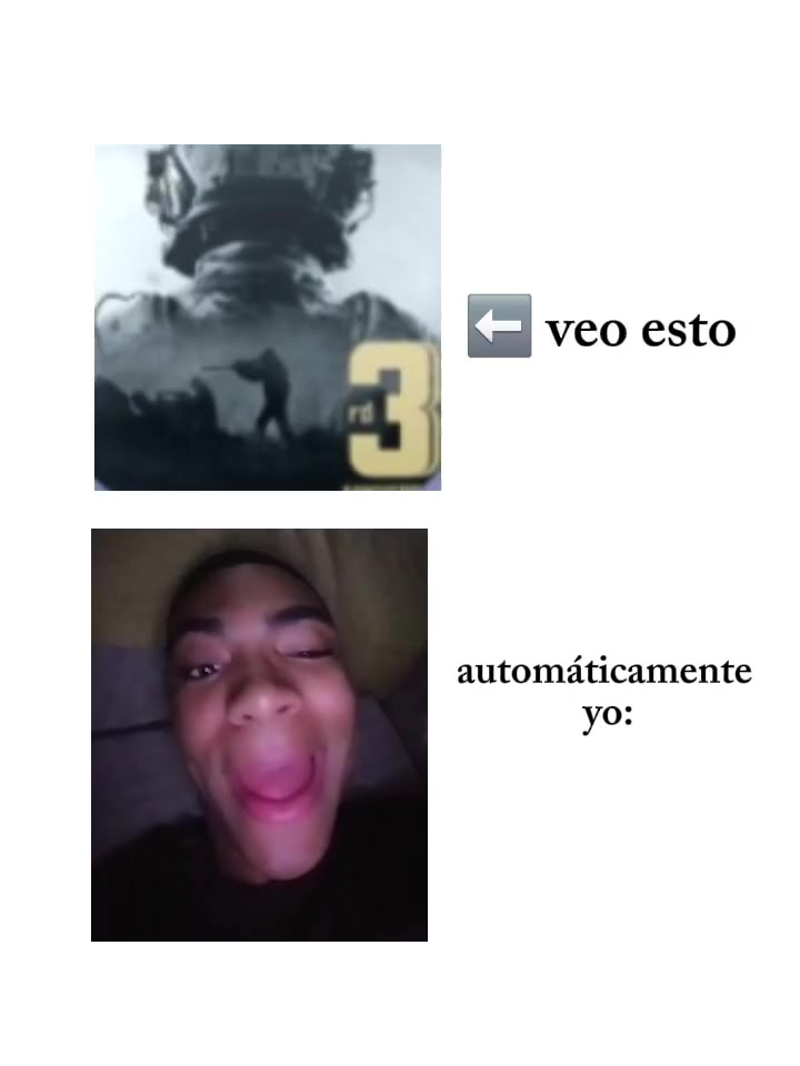 @gato de combate