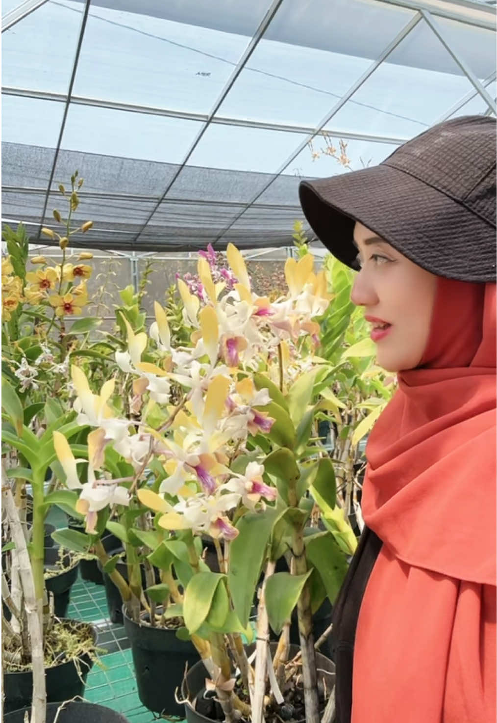 @Anggina Orchid