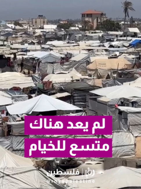 @Royapalestine رؤيا فلسطين