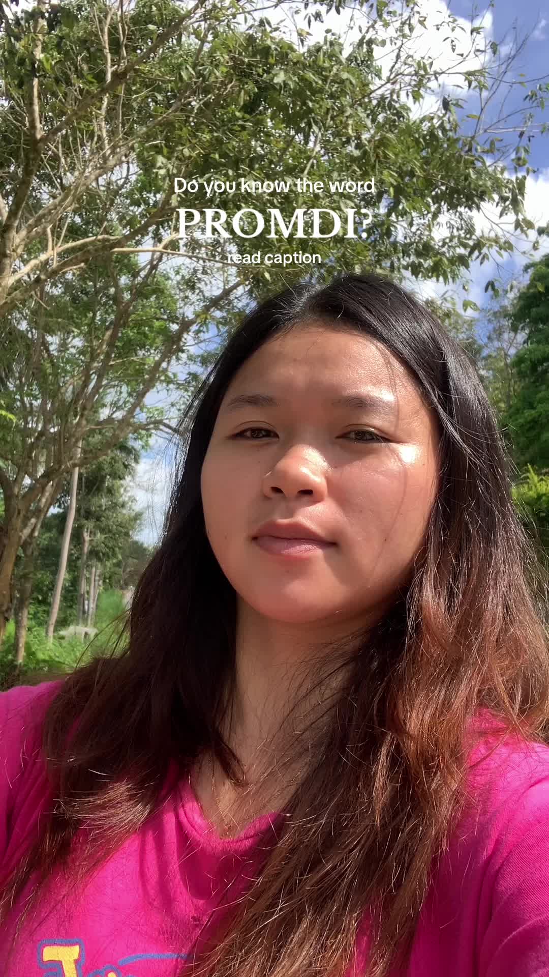Promdi