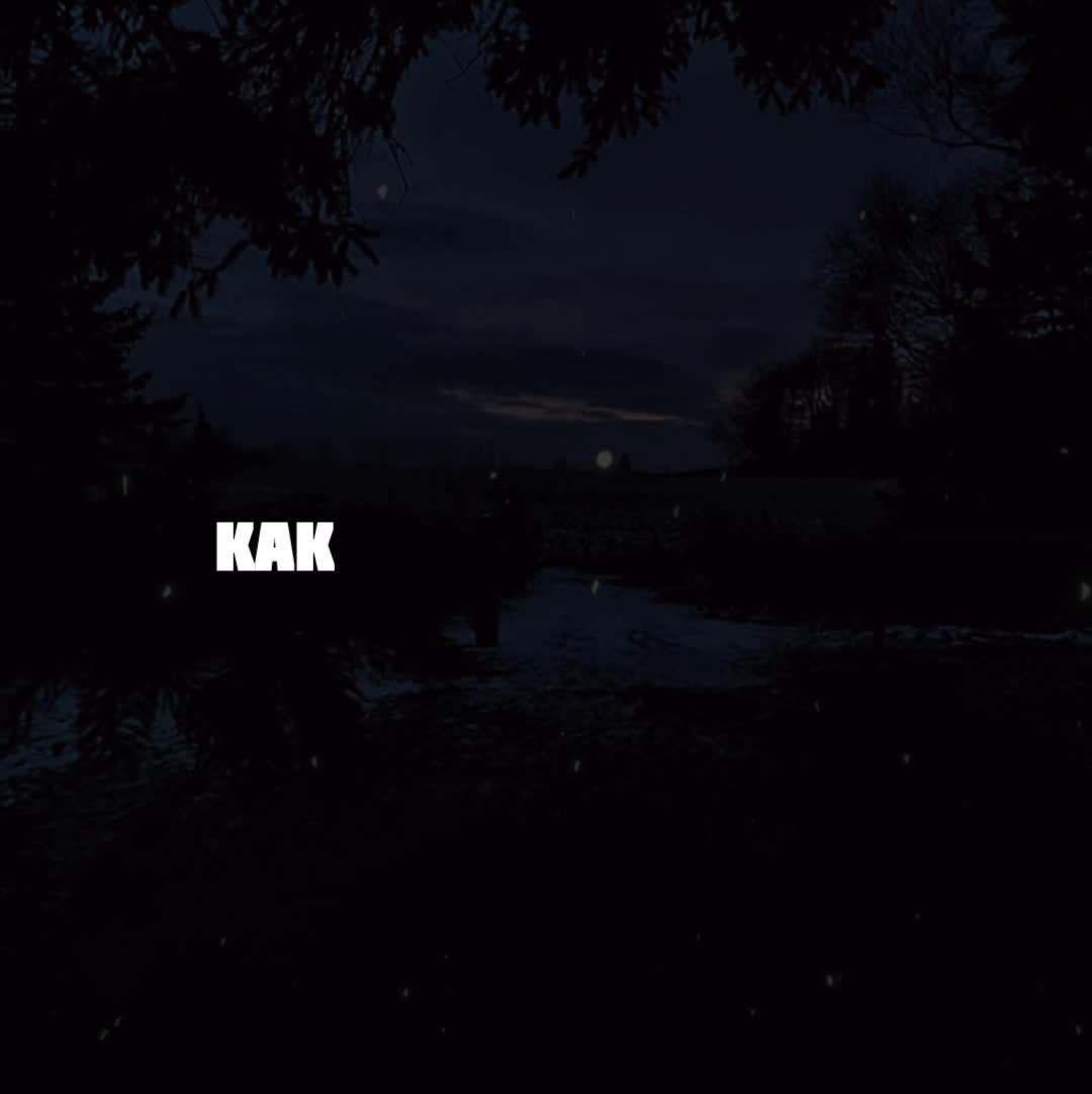 @Maestro.