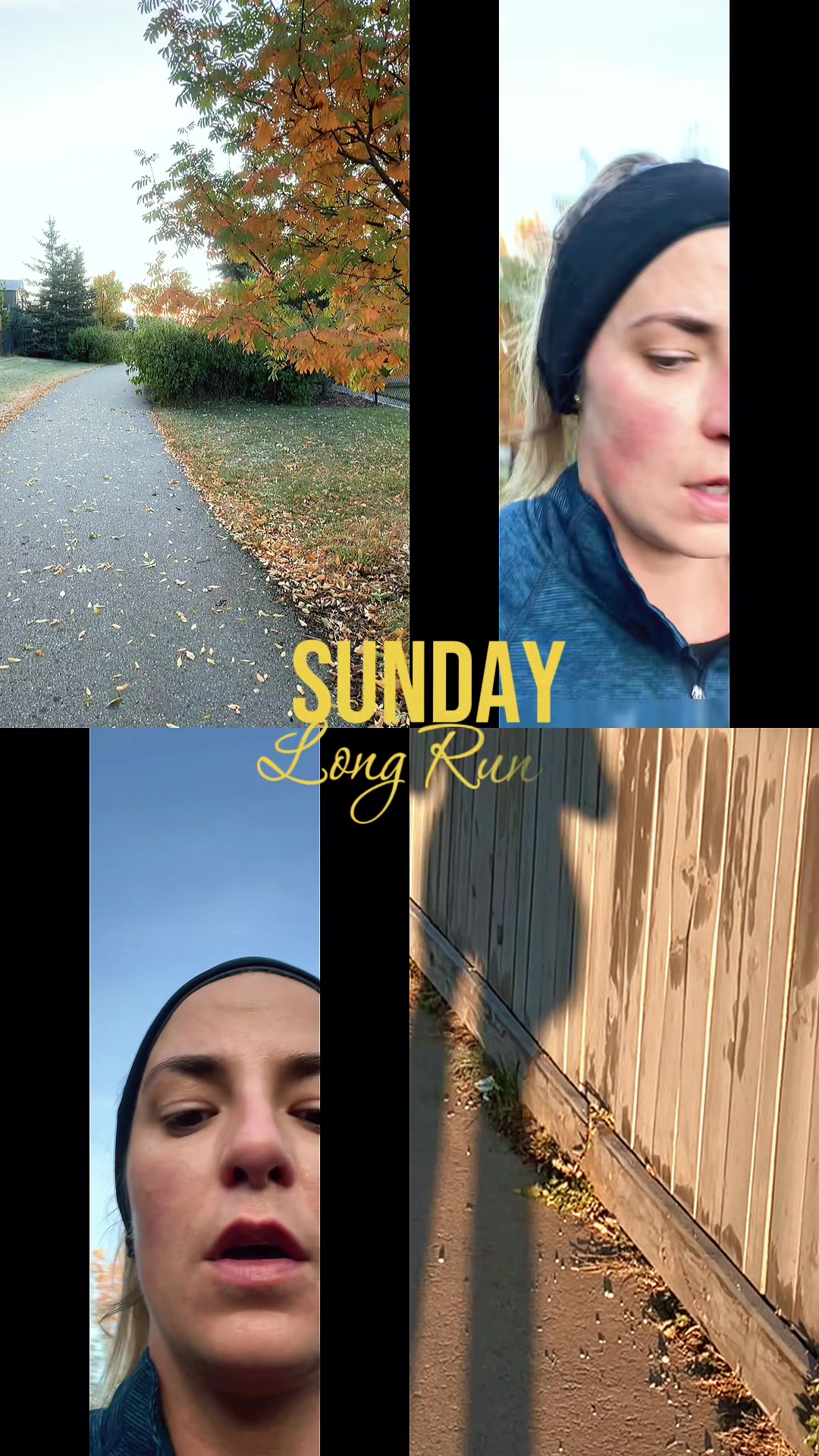 @Amy 🇨🇦