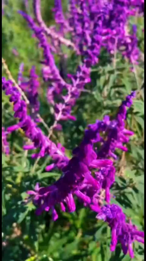@aMeeTs__MaT MiL