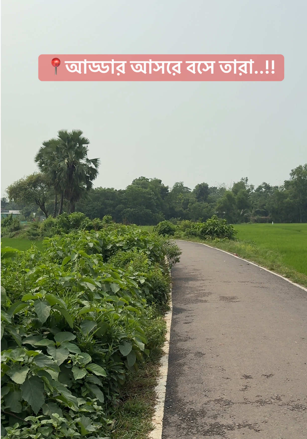 @𝗧𝘂𝗿𝗷𝗼𝘆 𝗞𝗵𝗮𝗻