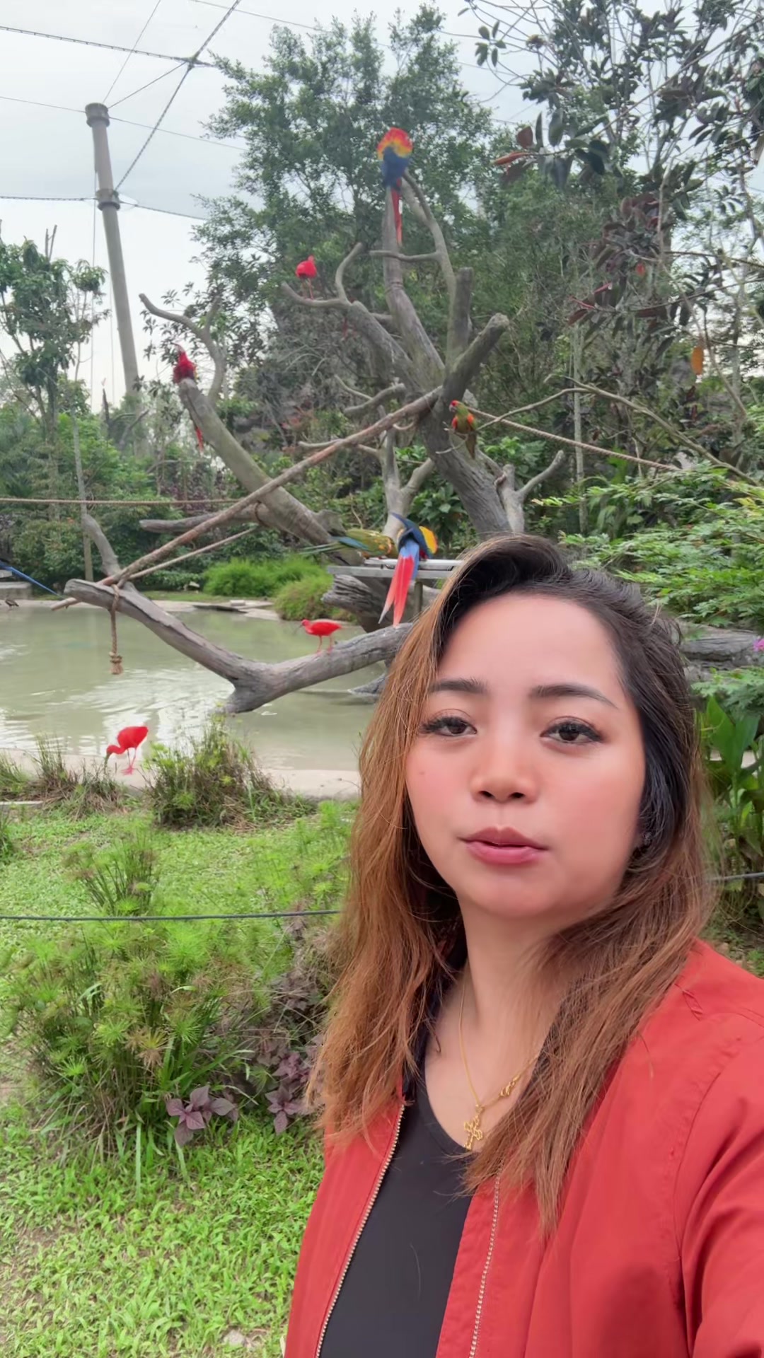 @red๐๐๐๐ต๐ญ๐ธ๐ฌ๐ฆ๐บ๐ฌ๐ง
