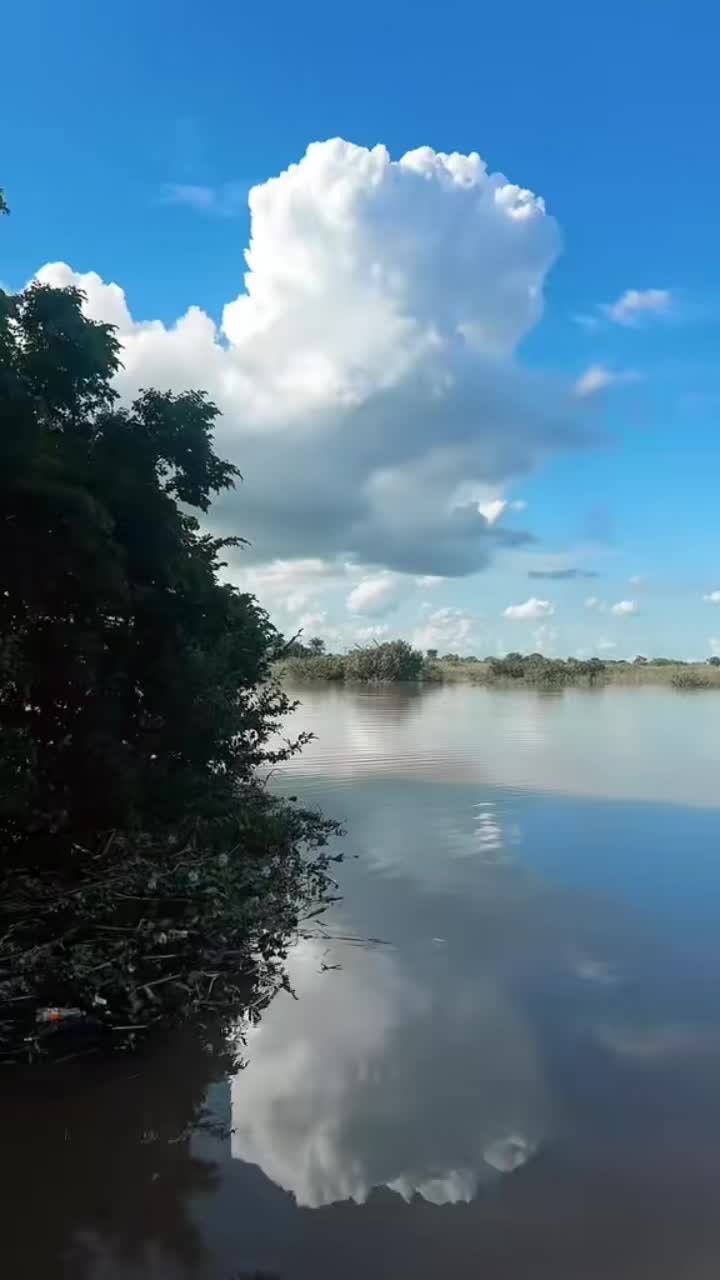 @🦅Ѳffїcїаг Єзё Йдї 🅱️TC🦅