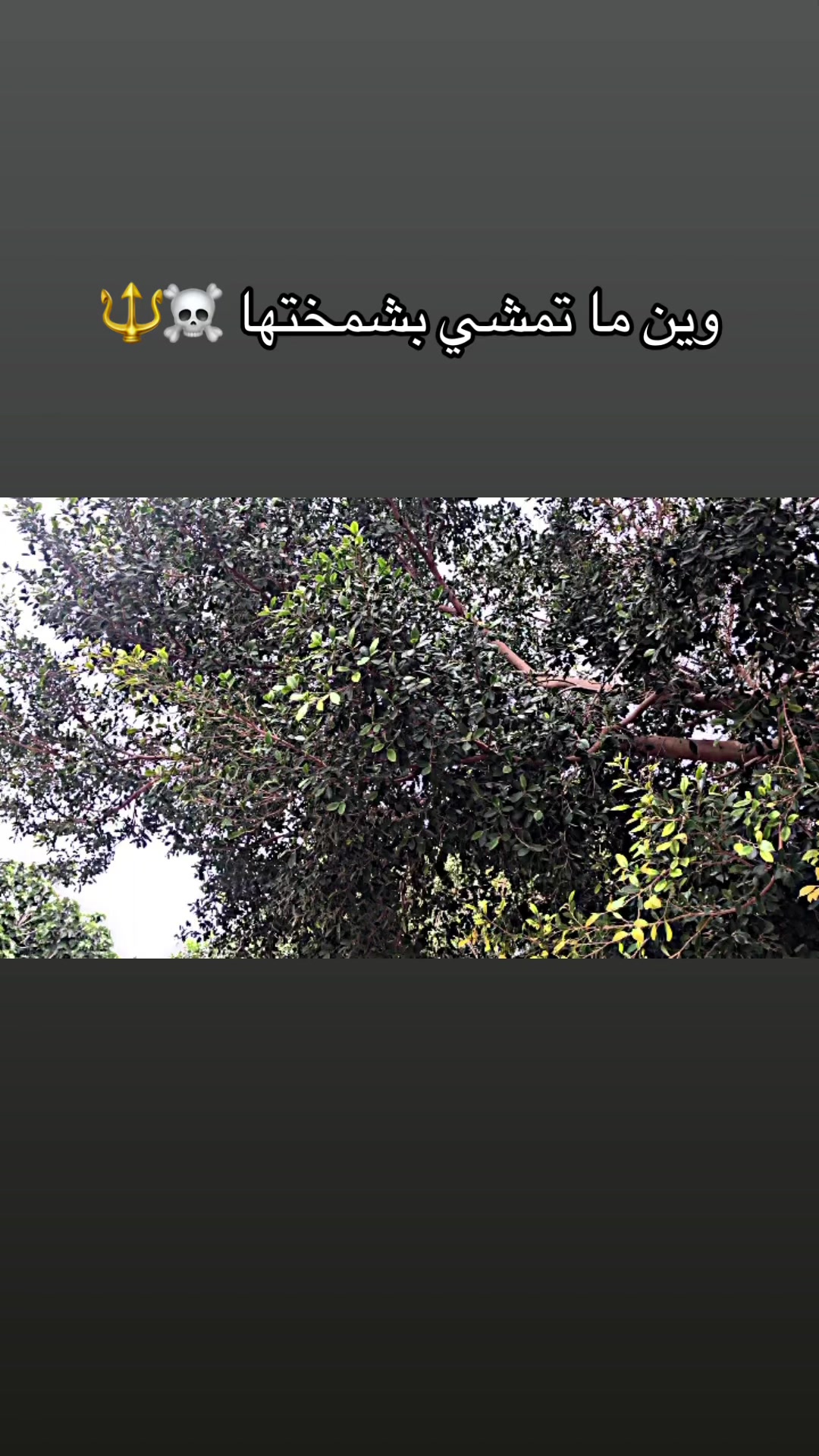 @ولد _عيت_ الشاوش ❤️🔥