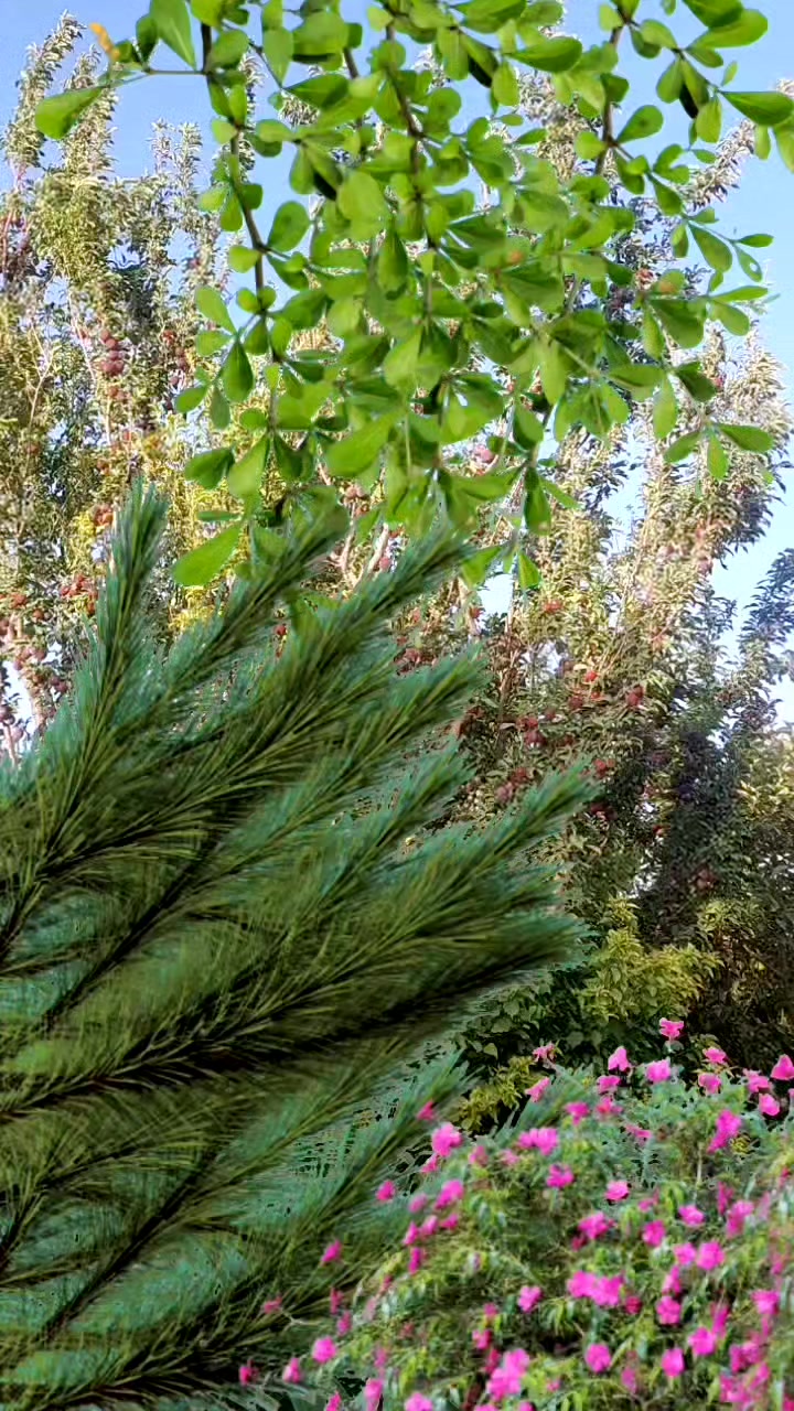 @Abdul Malik Kakar 2215