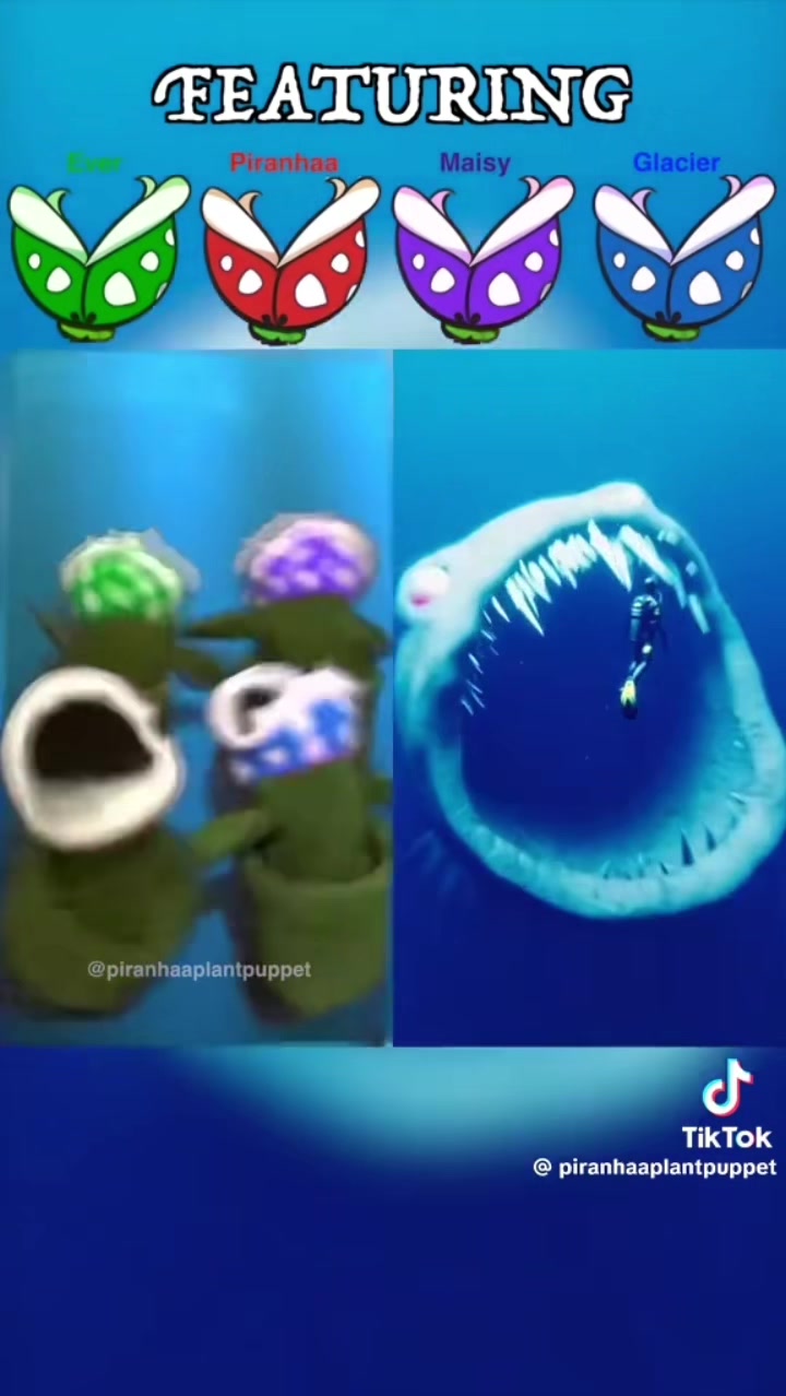 @🐠🐡🐳🐋🐟bloohl🦕🐠🐟🐬🦭🦈🐳