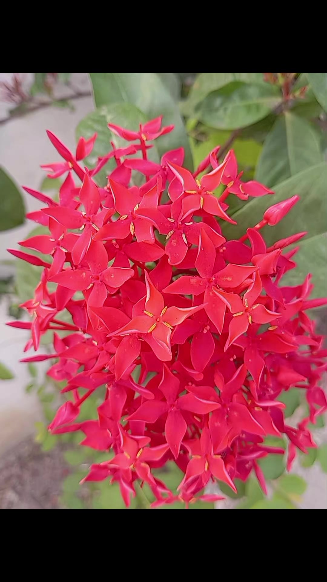 @Uday kumar Barbariya-Yadav