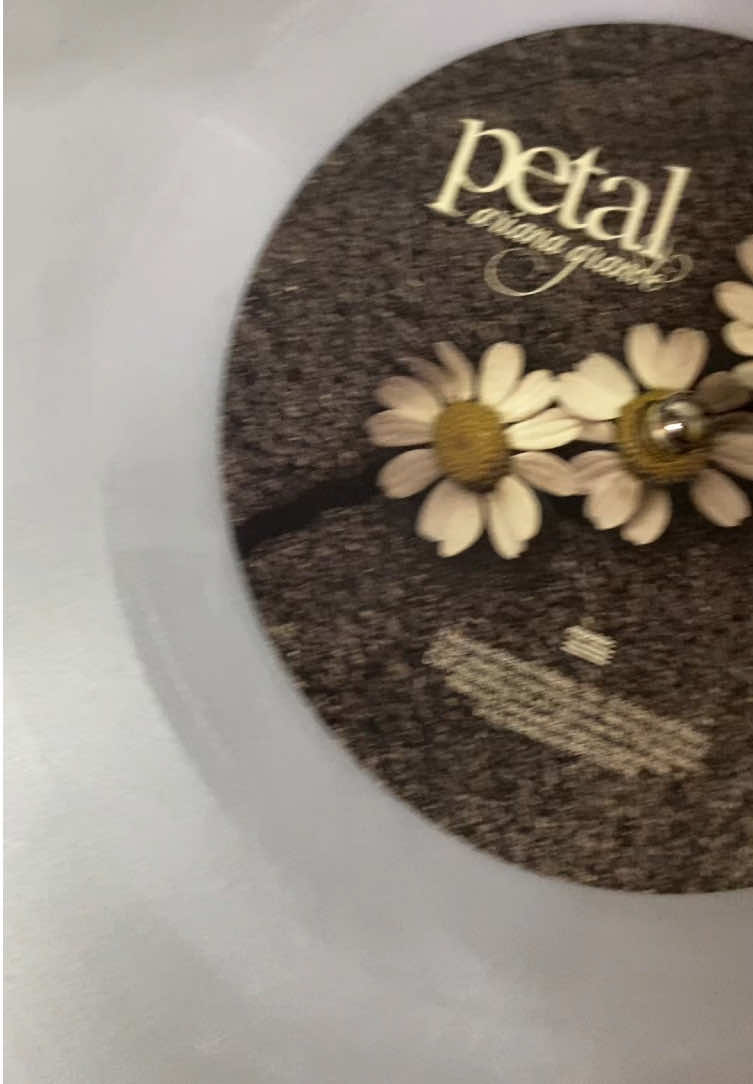 @Amber || Vinyl Collector☁️