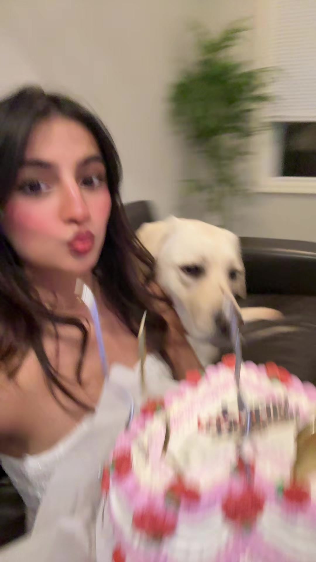 @pratigya🦀