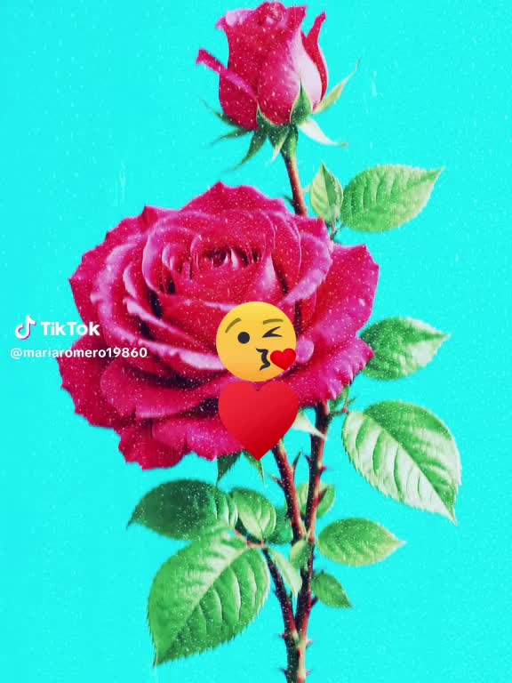 @🇪🇨🌻Eloymora🌻🇪🇨🇱🇷