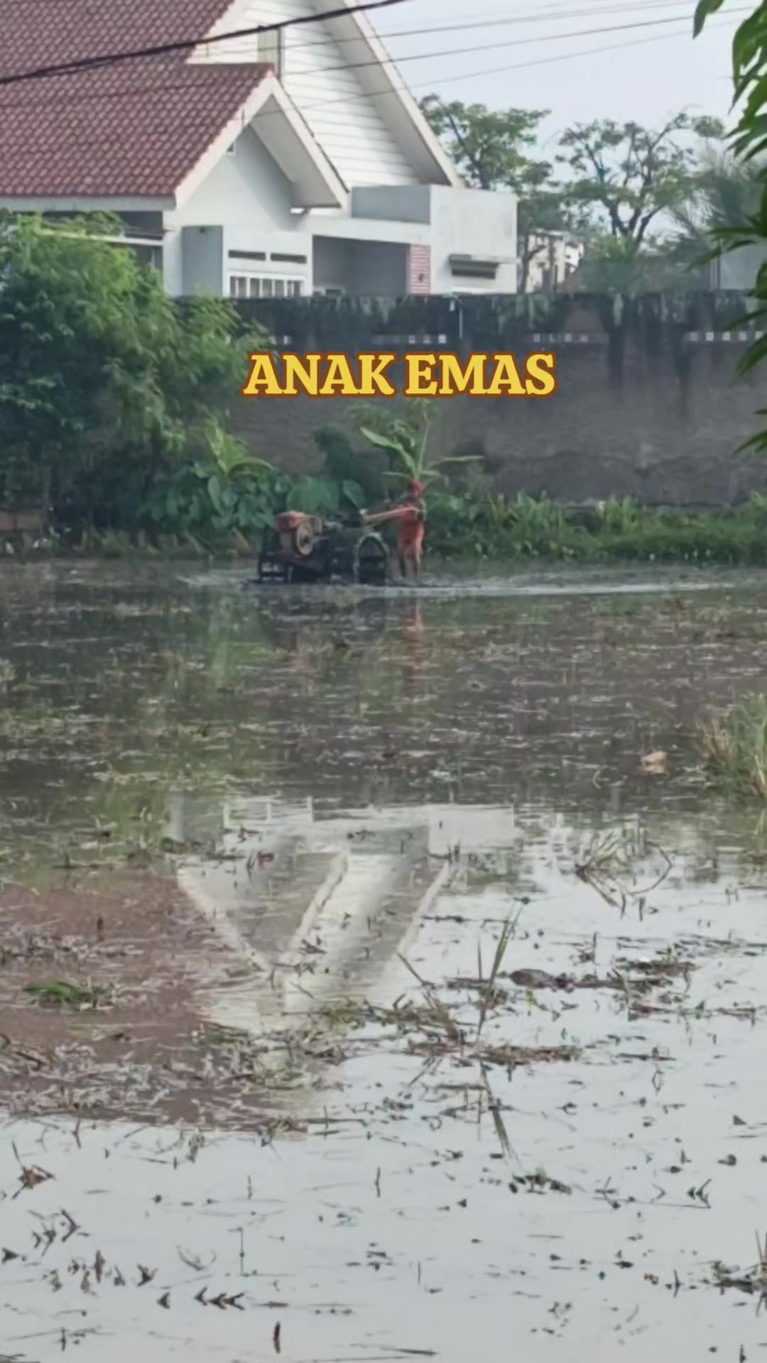@PUTRA MANGLAYANG