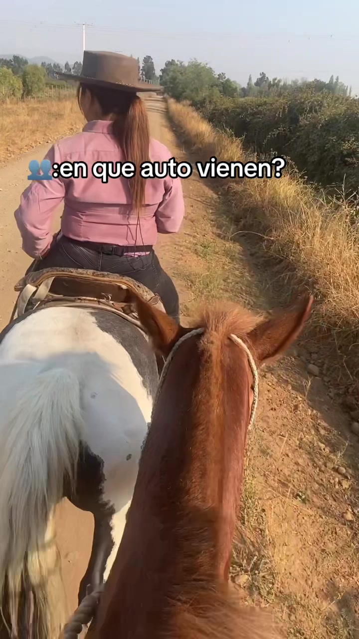 @krishna_aguilera17