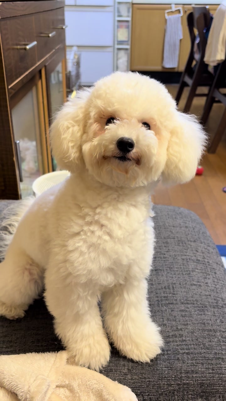 @まろたん🐕