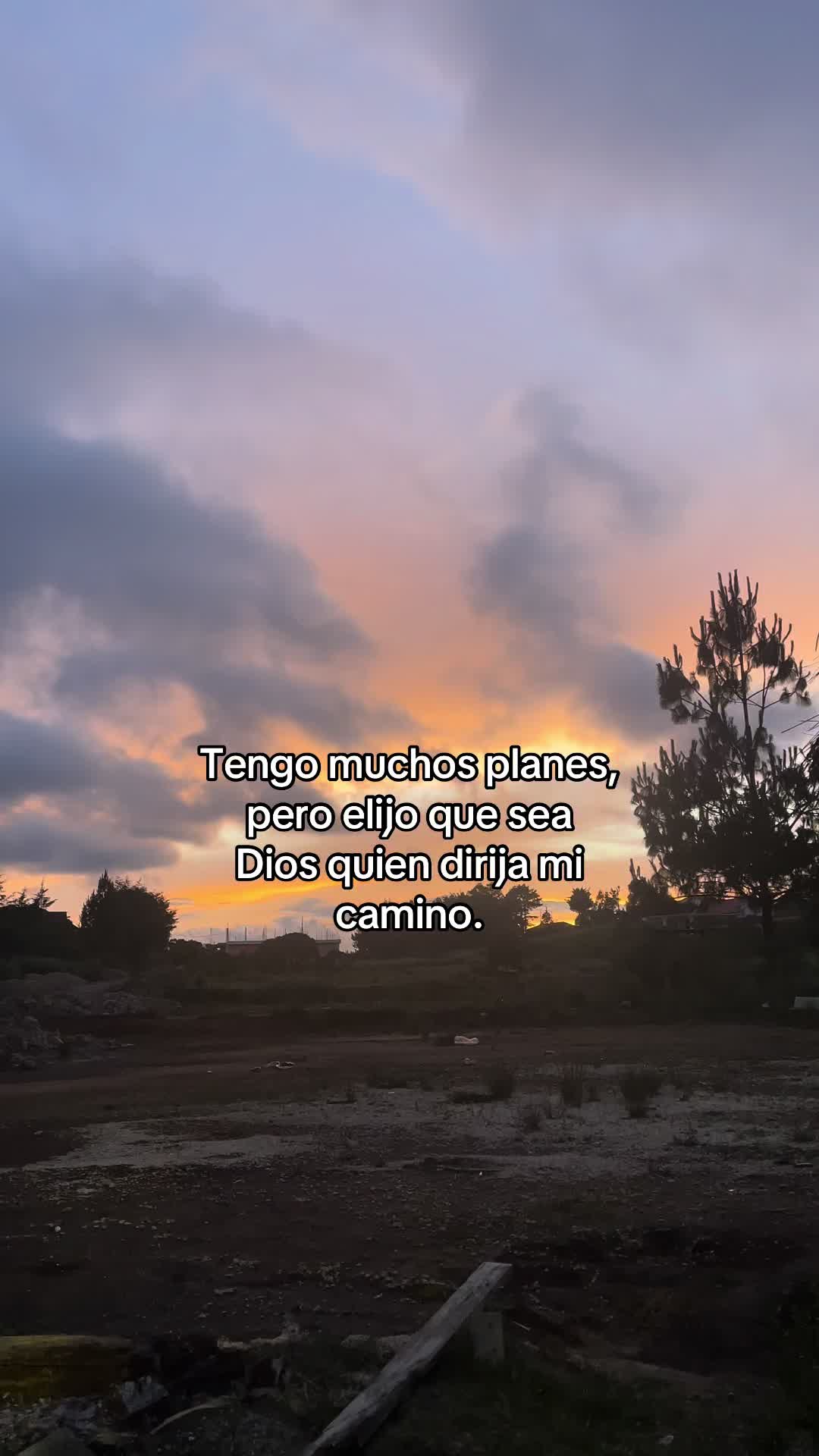 @C A R R I L L O ๐ฆ