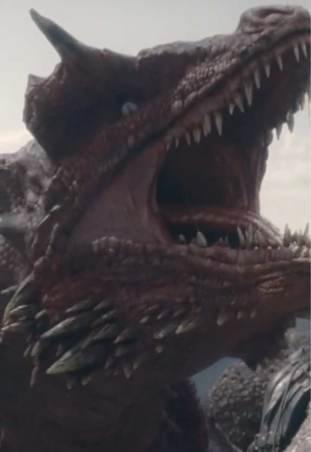 @HBO Max Brasil