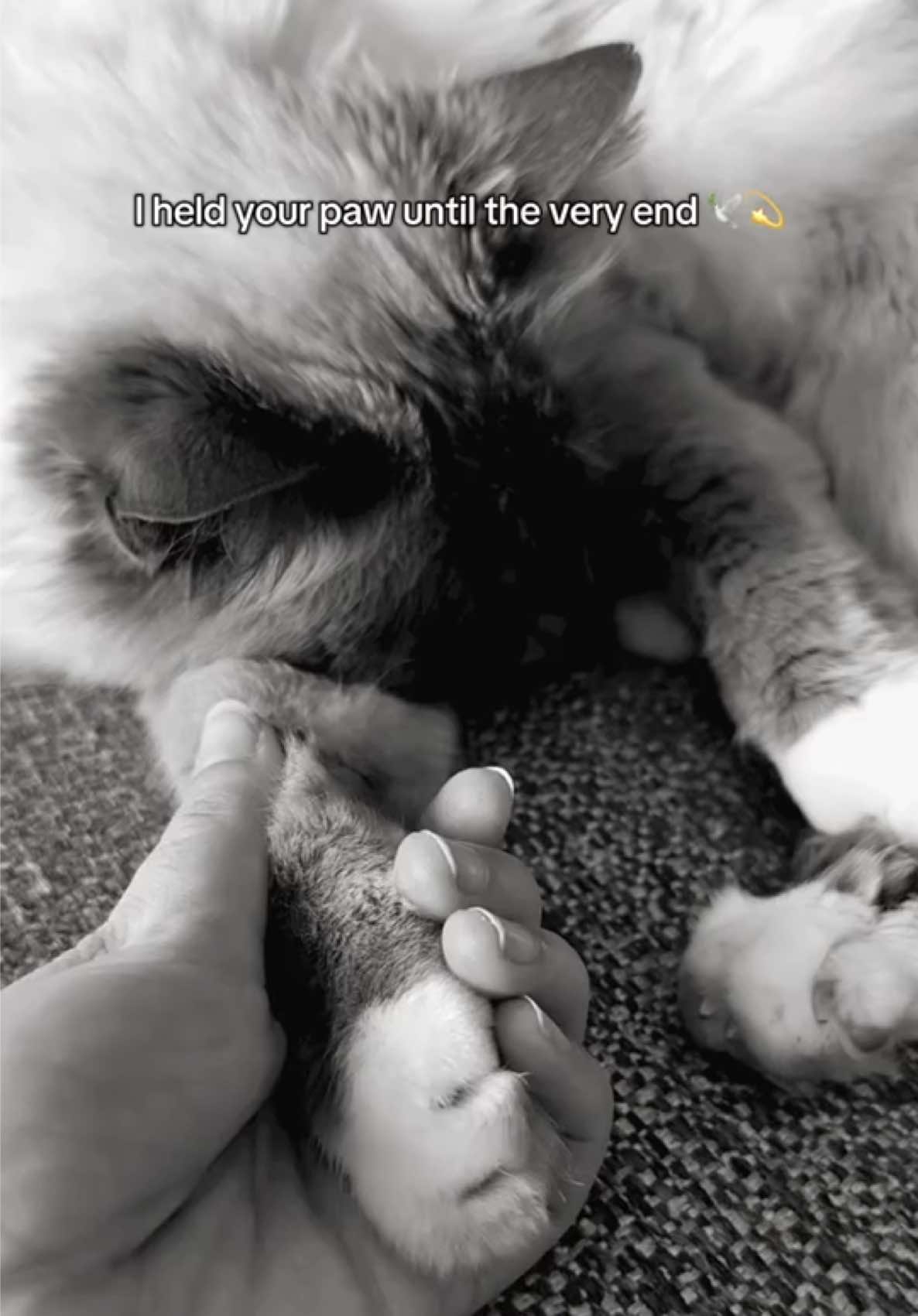 @โ
๐๐๐ฬ โ