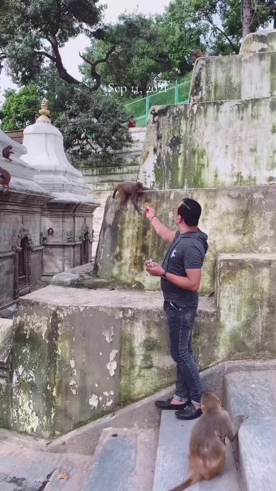 @raj_paudel5