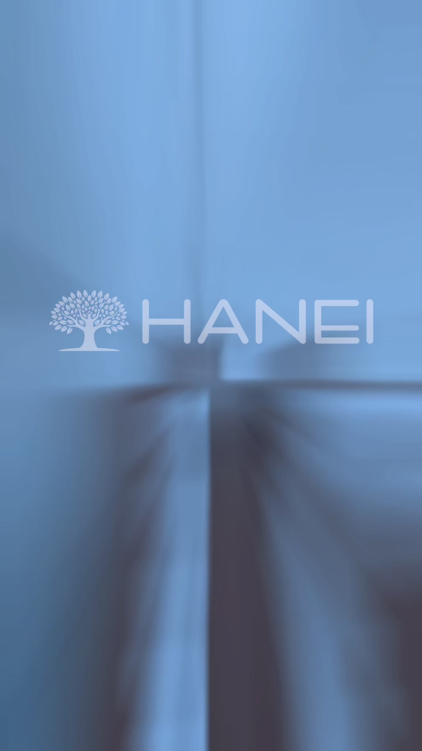 @HANEI Solutions