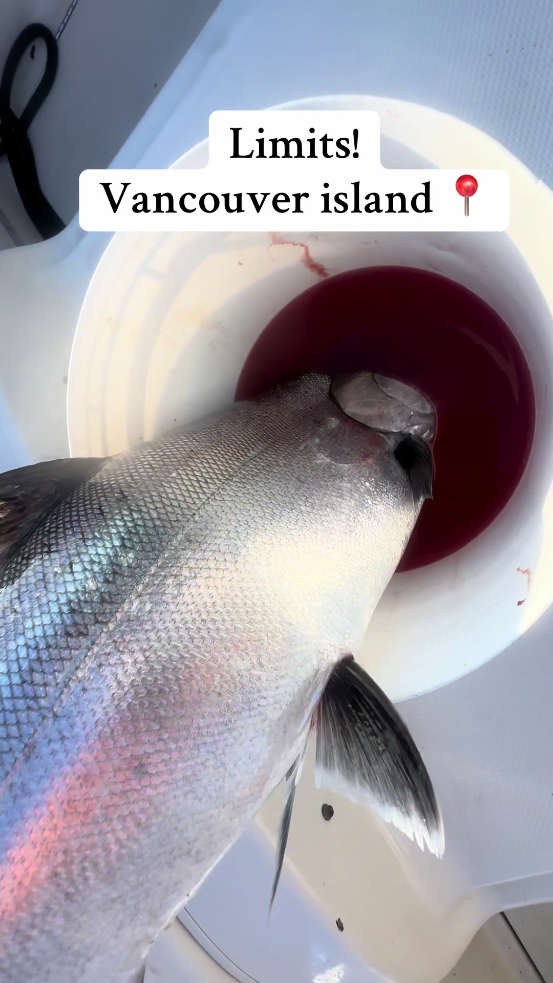 @FishingThe(250)
