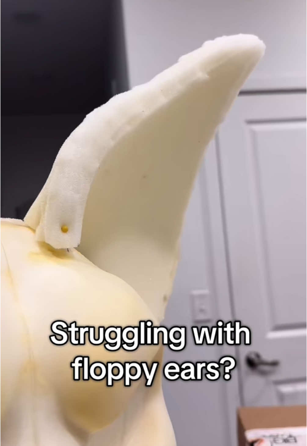 @FruitbatFursuits > ANW