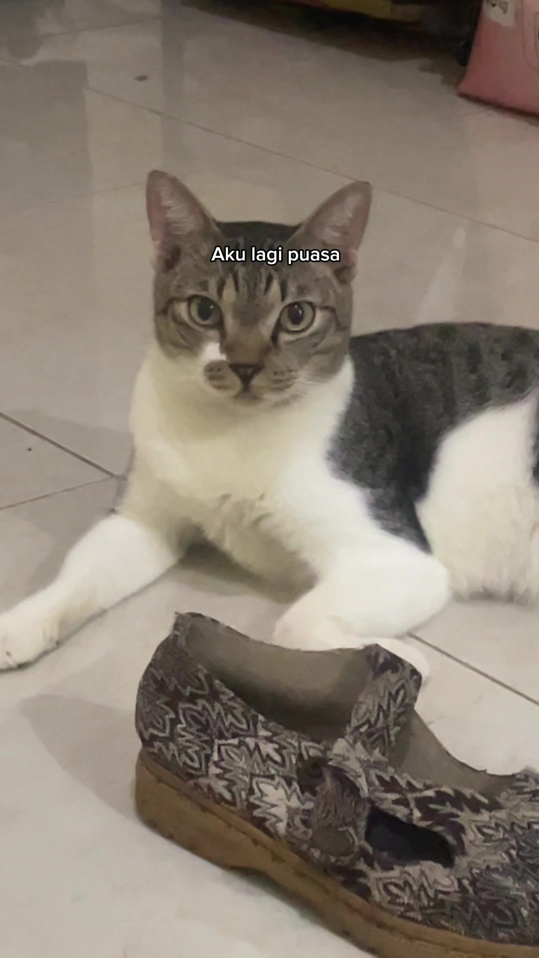 @three_muscateers