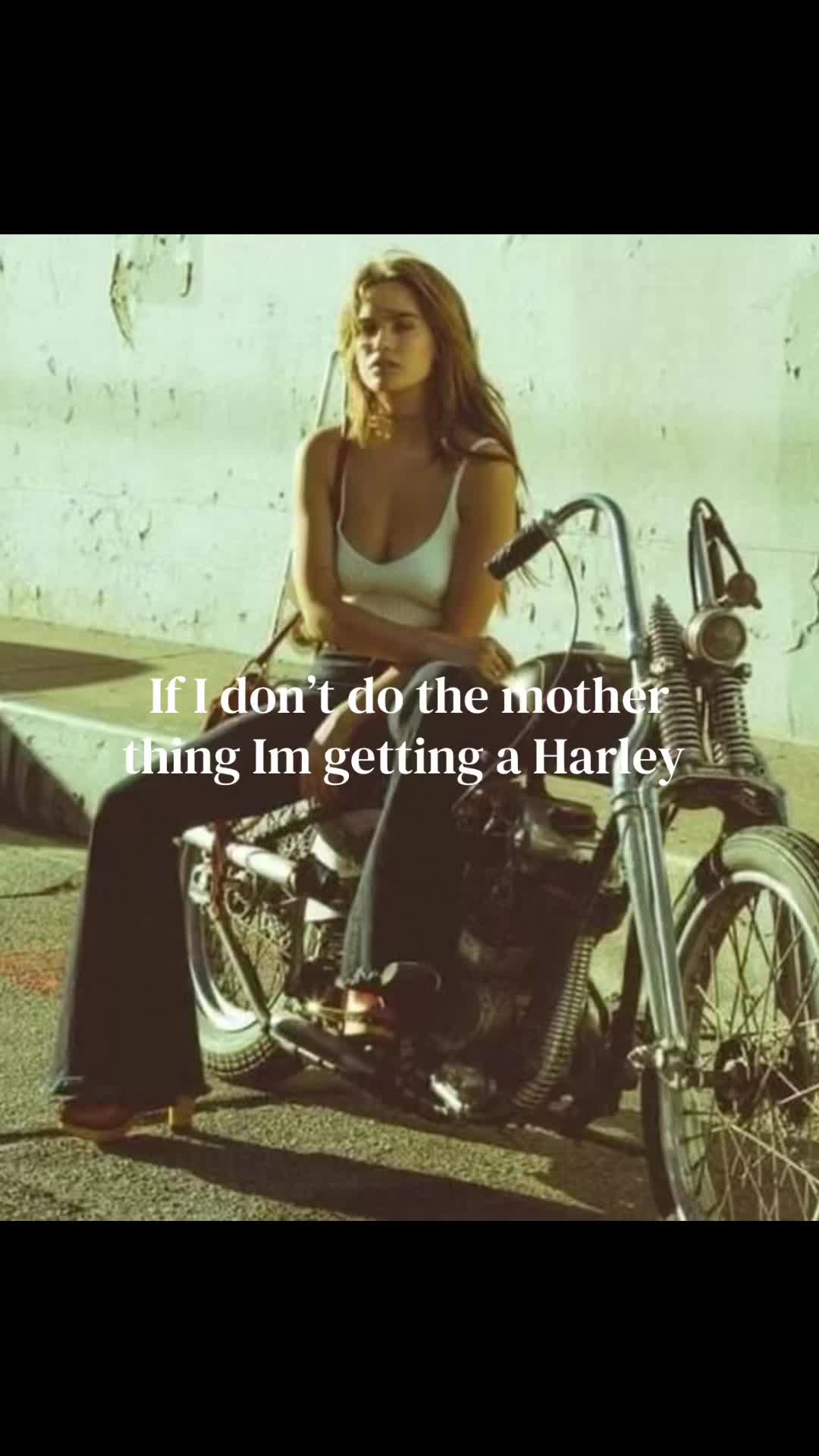 @𝓚𝓸𝓾𝓷𝓽𝓻𝔂 𝓚𝓲𝓽𝓽𝓮𝓷𝓼