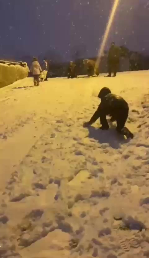@Gökan Atabay