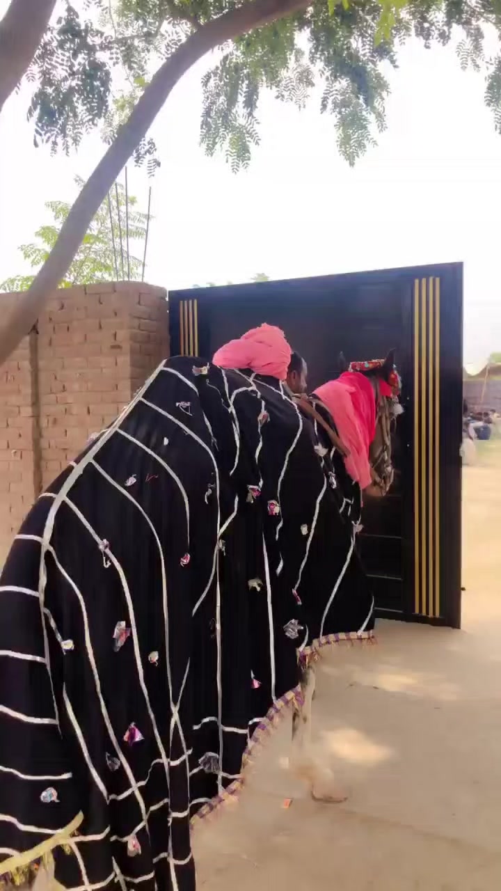 @مہر بلال