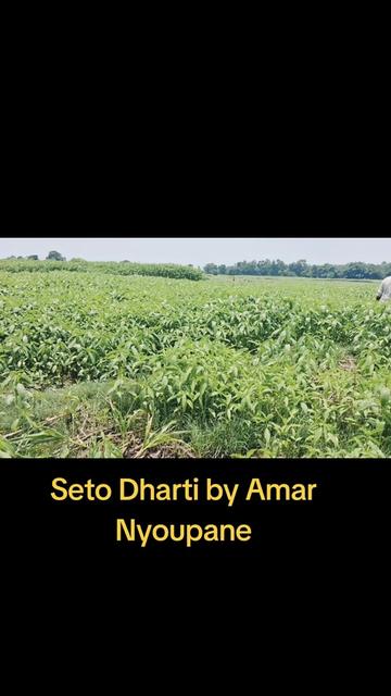 @🇳🇵🇳🇵अनिल रौतार💎🦋