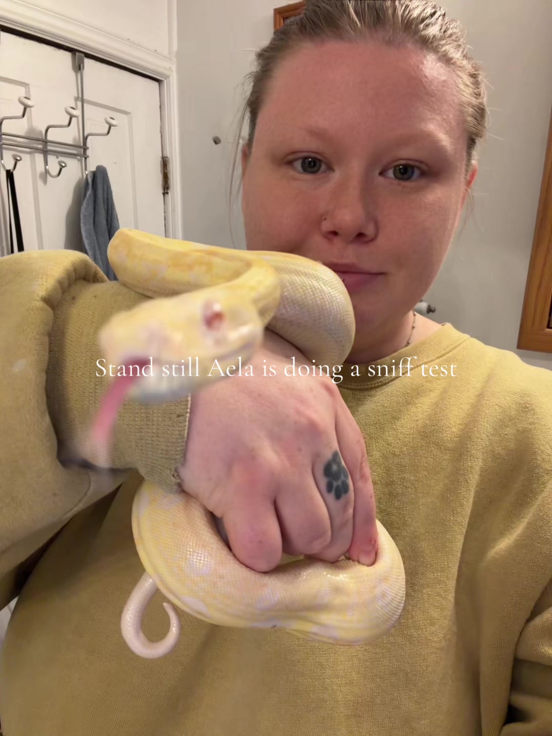 @kaciandherballs