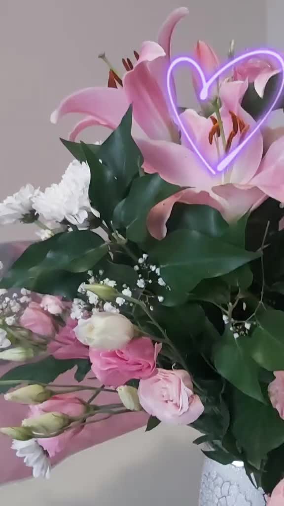 @๐ง๐ช _๐๐๐ฃ๐ฬ๐_๐ช๐ง