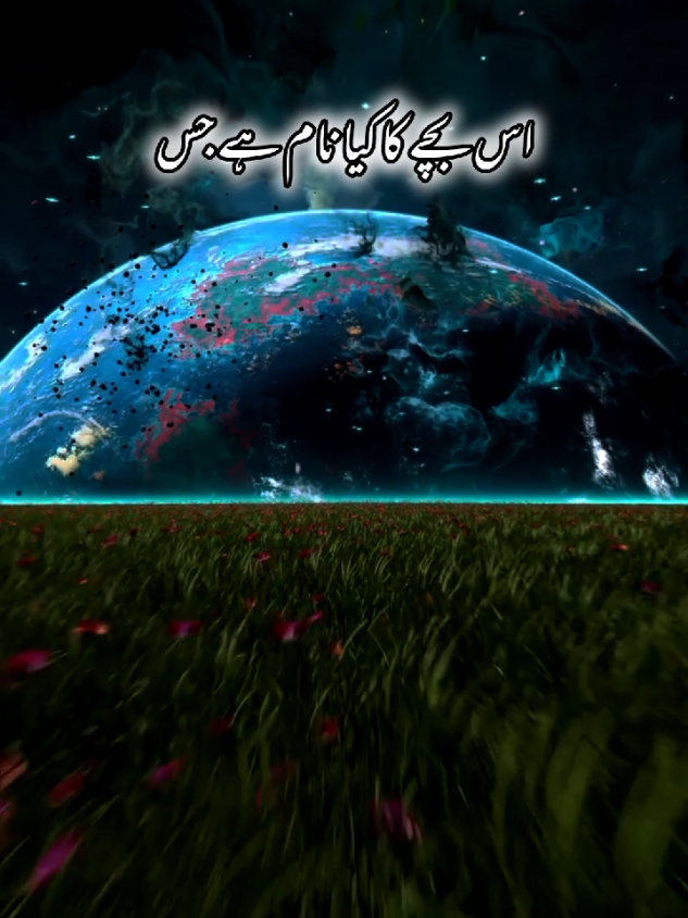 @Islamic State