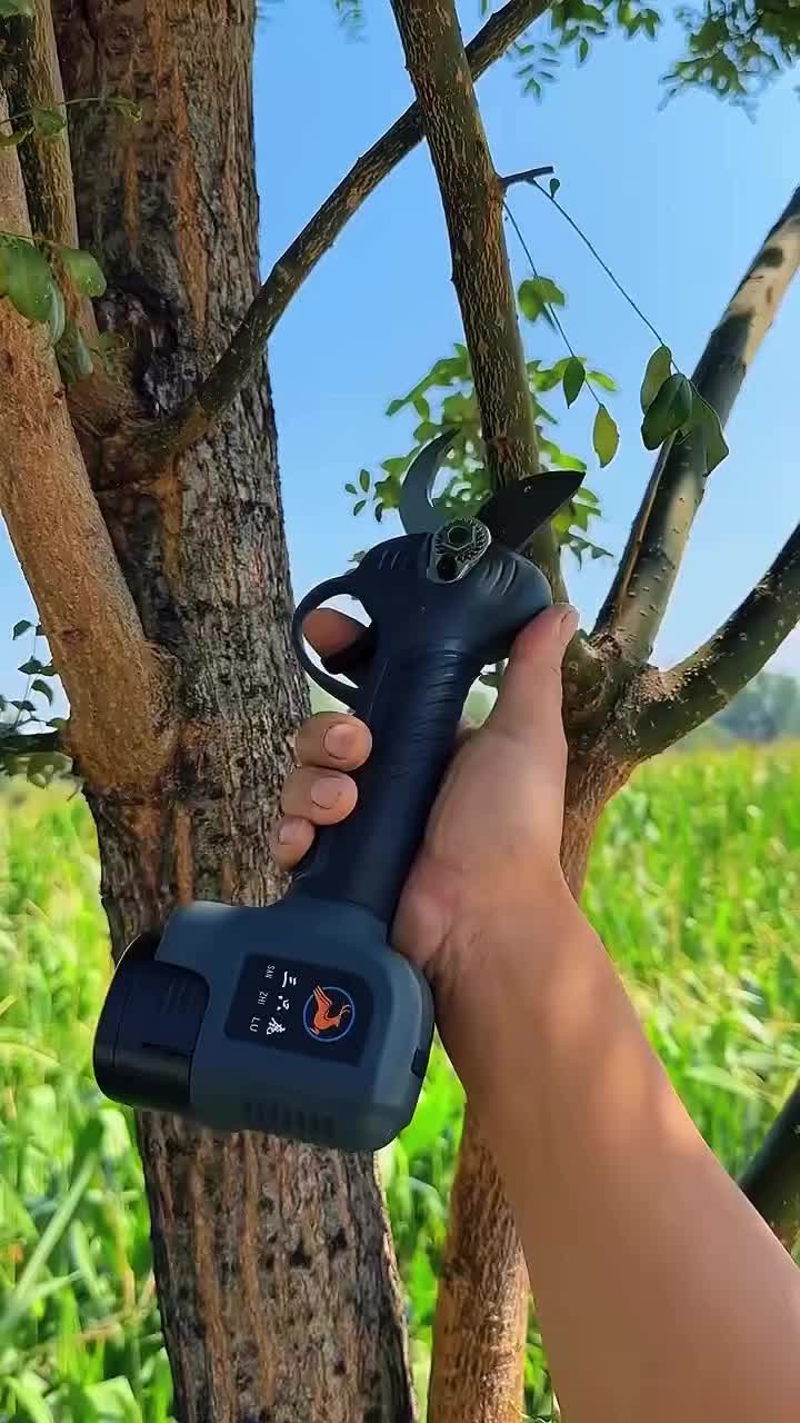 @Это нам НАДО!