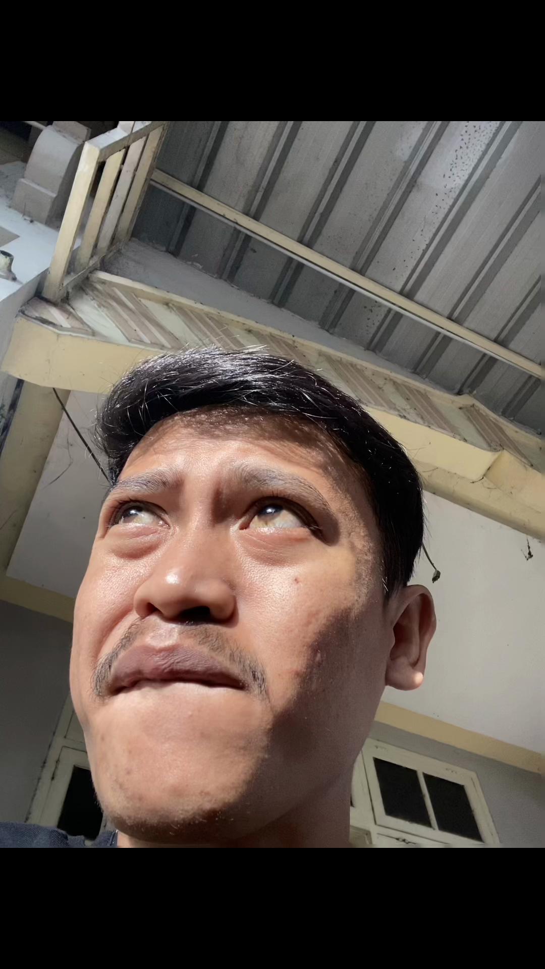 @DoyanNeslite