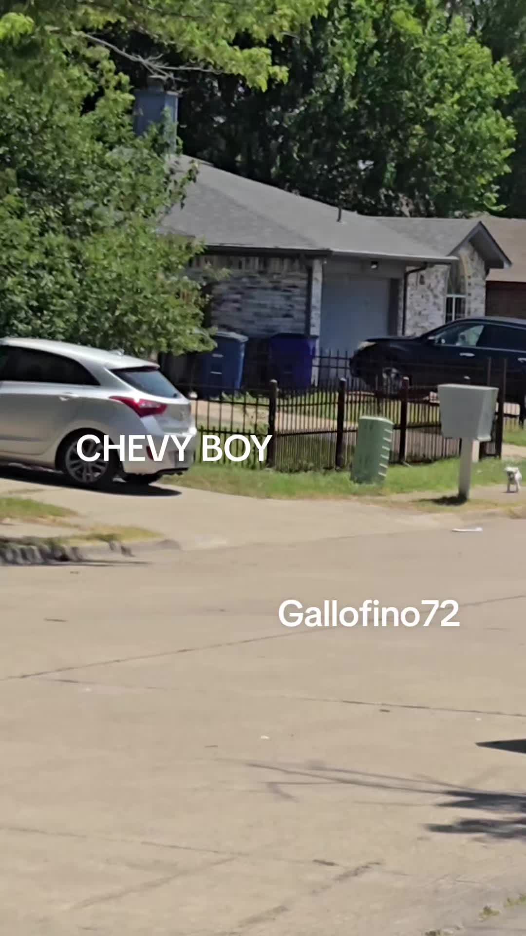 @ElGalloFino