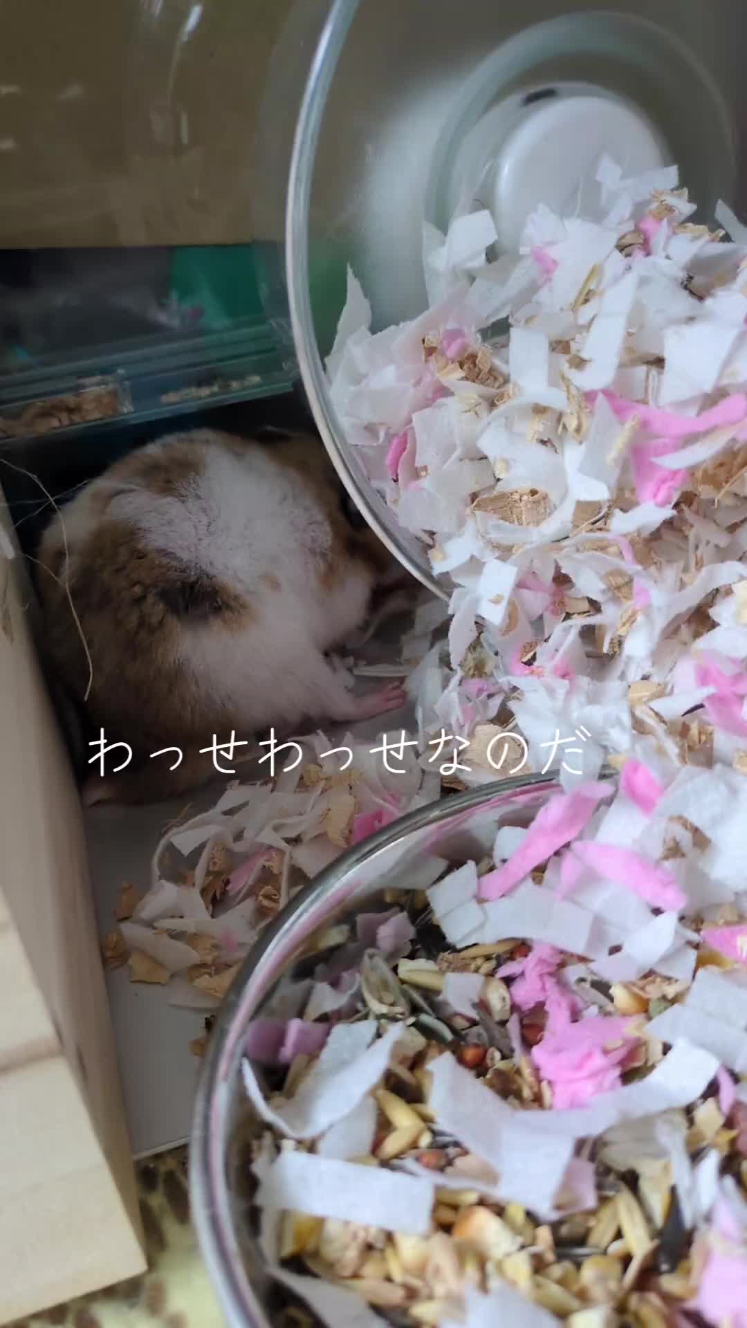 @๐นใใใก๐น